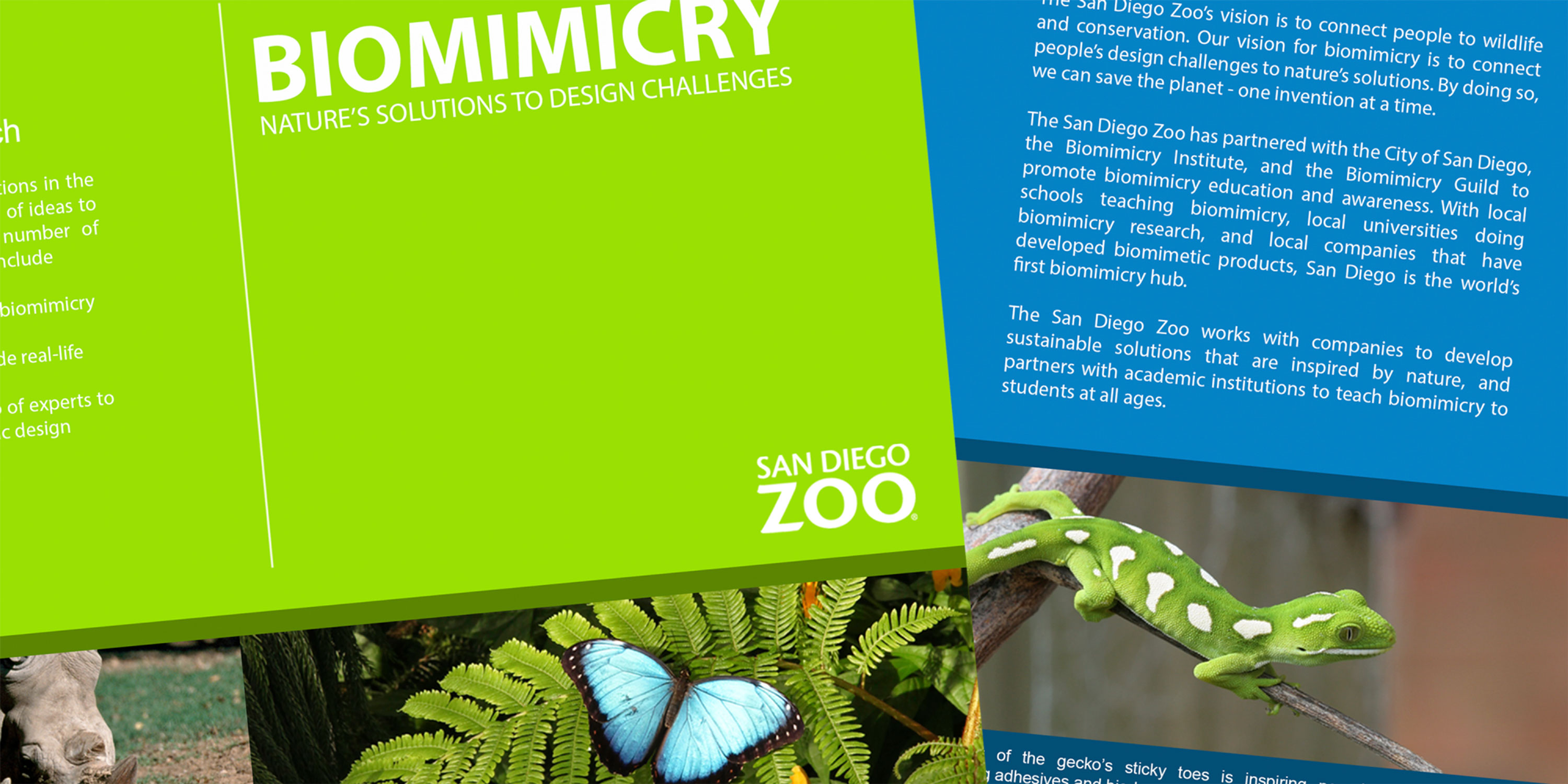 SD Zoo Biomimicry Brochure