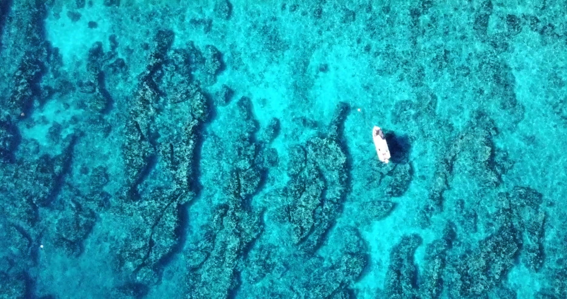 Molasses Reef - Florida Keys, USA