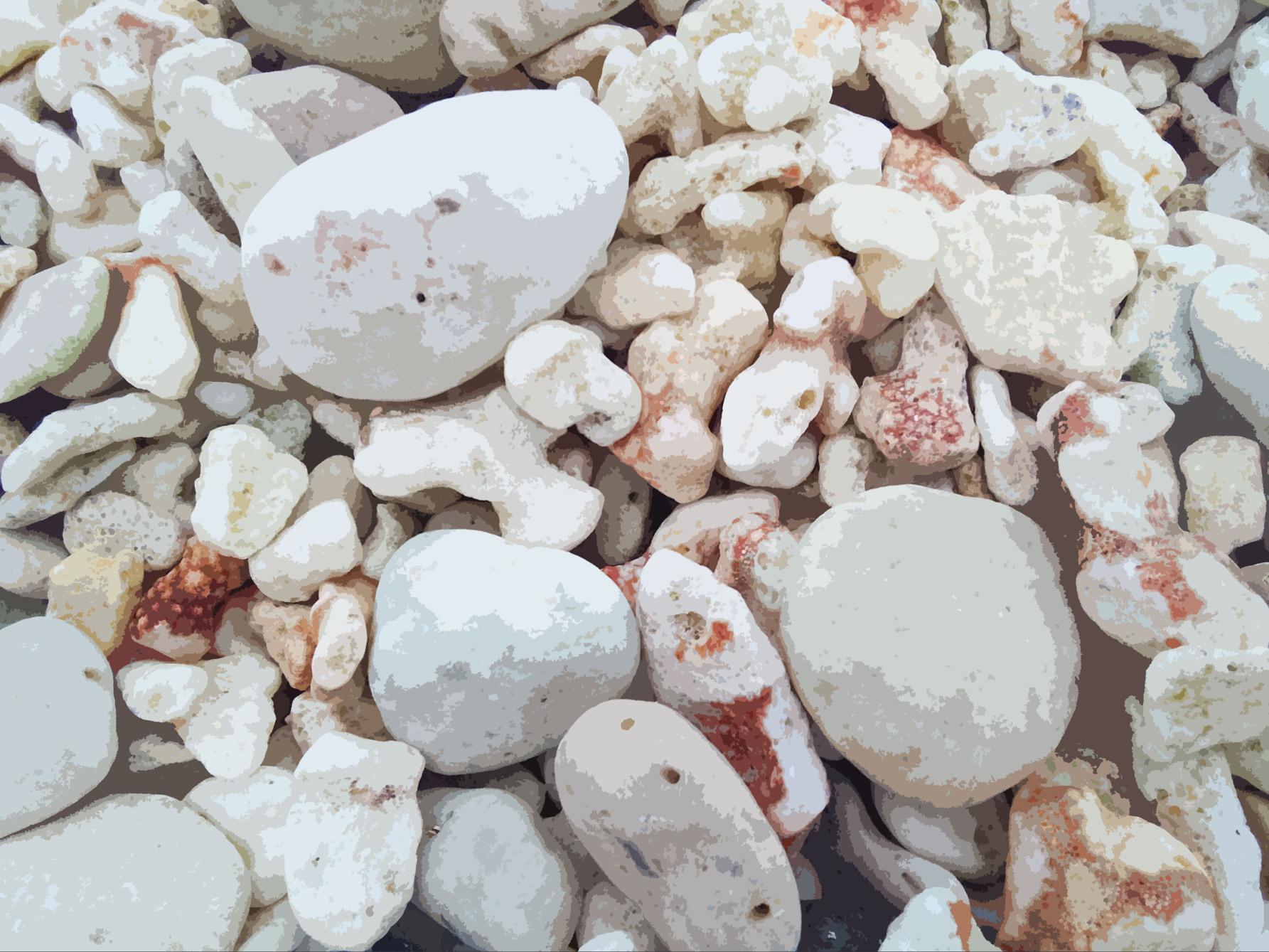 Coral and rocks on the Big Island of Hawaii.